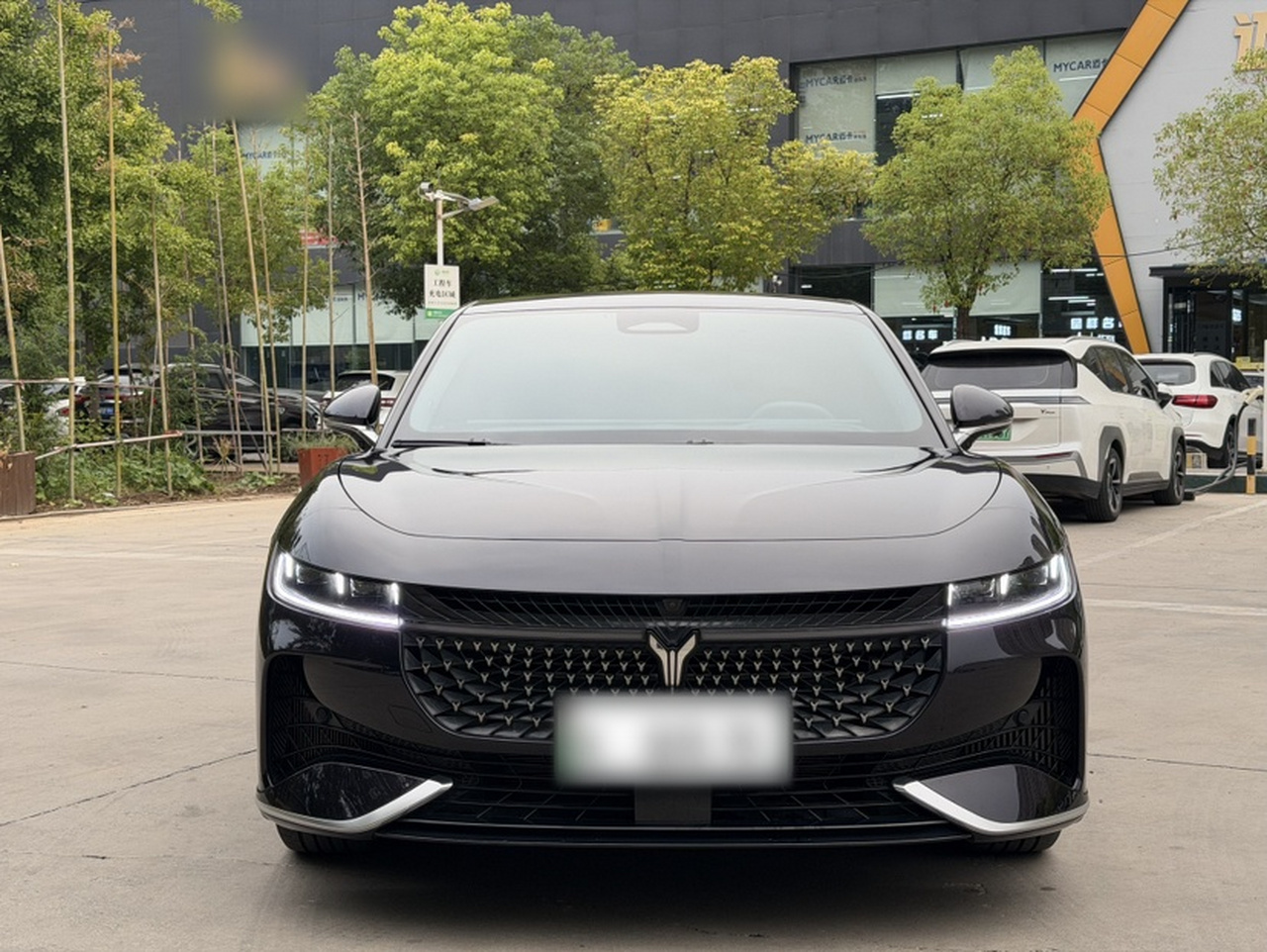 Voyah Passion 2024 PHEV AWD Extended Range Executive photo 4