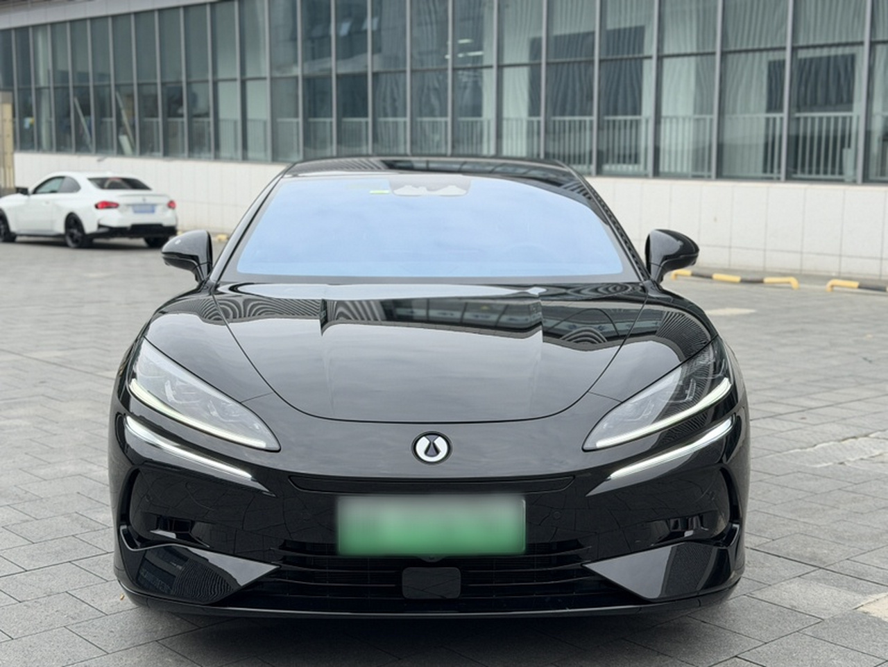Z9GT 2024 1100 AWD Max photo 5