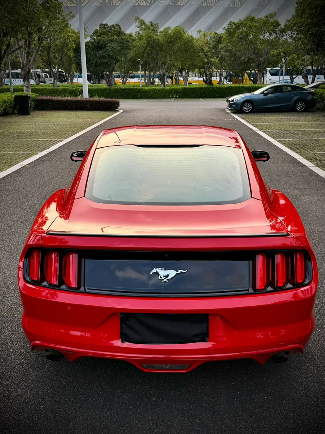 Mustang Parallel Import photo 2