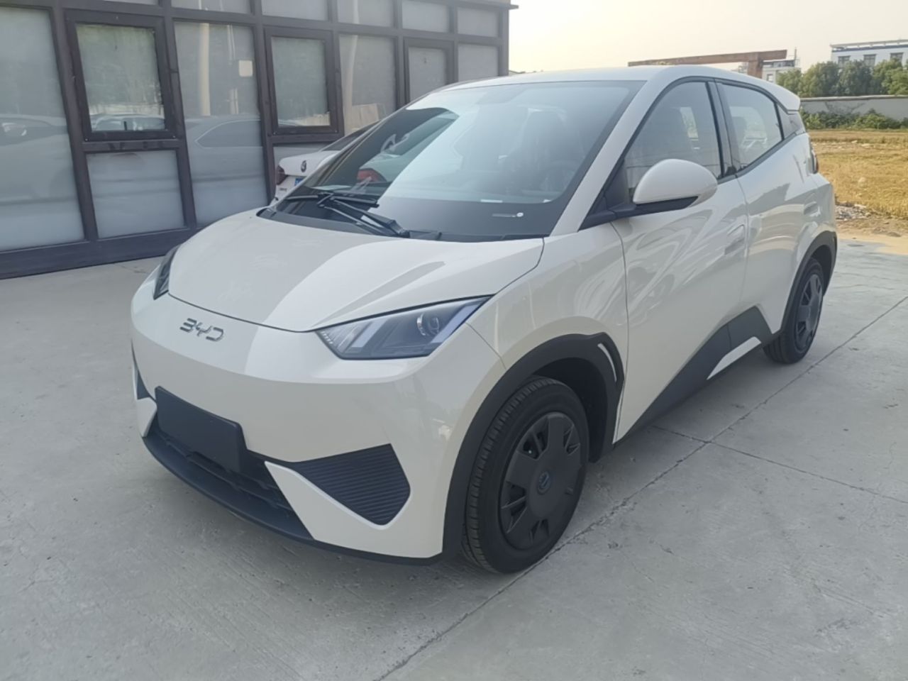 Seagull 2025 ADAS 305km