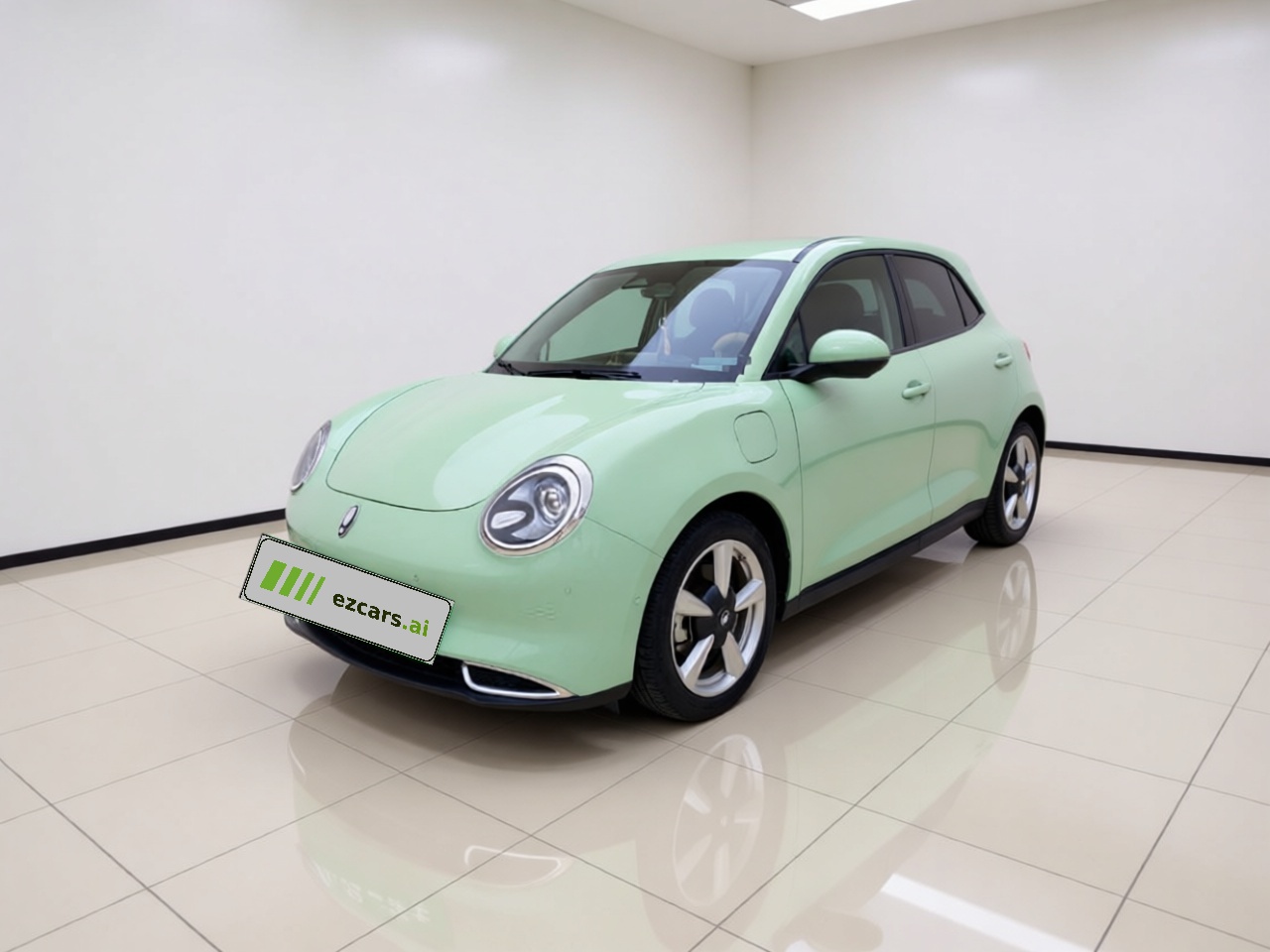 Good Cat 2022 400km Standard Range Luxury LFP