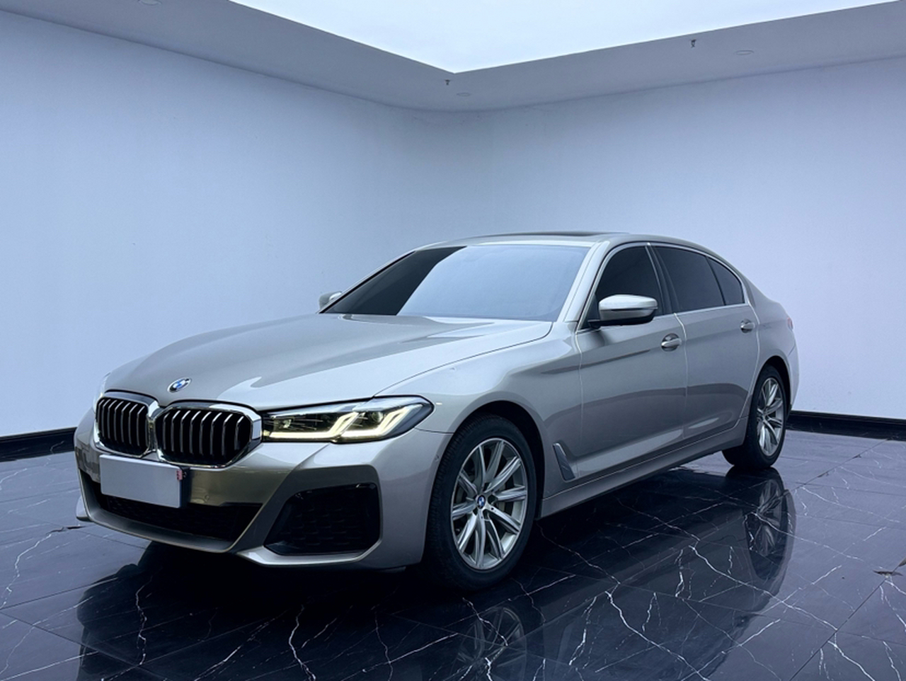 5 Series 2018 528Li Special