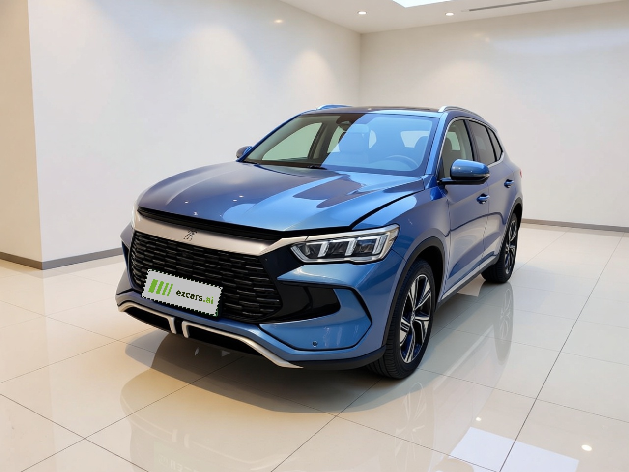 Song Pro EV 2023 Champion DM-i 110KM Excellence