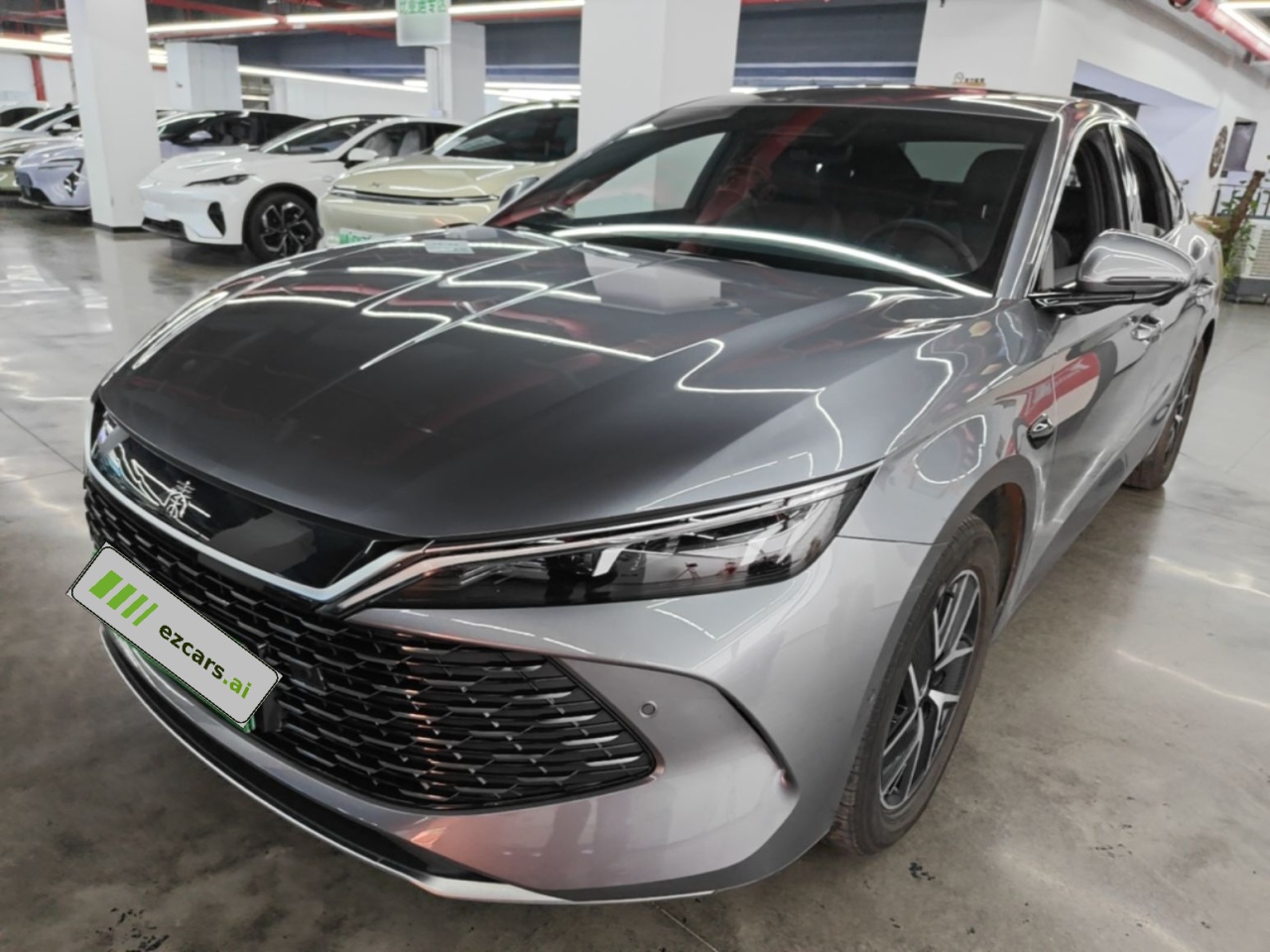 Qin L 2025 DM-i ADAS 120KM