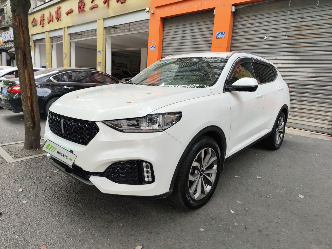 VV6 2018 2.0T RWD China V