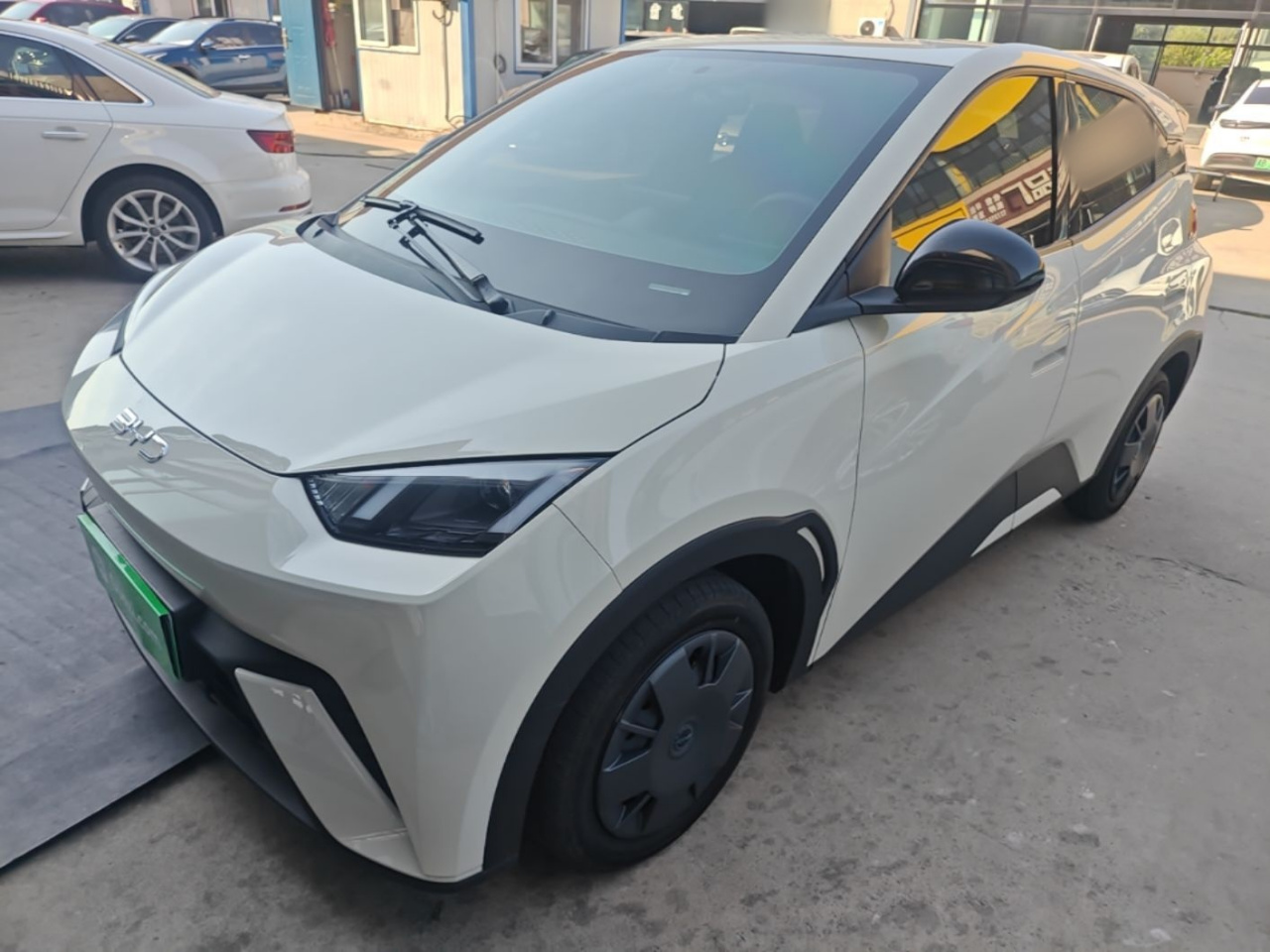 Seagull 2025 305km