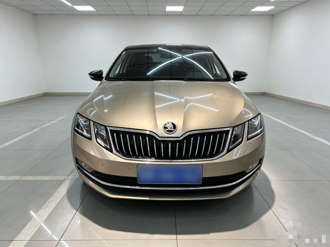 Octavia 2018 TSI280 DSG Luxury photo 2