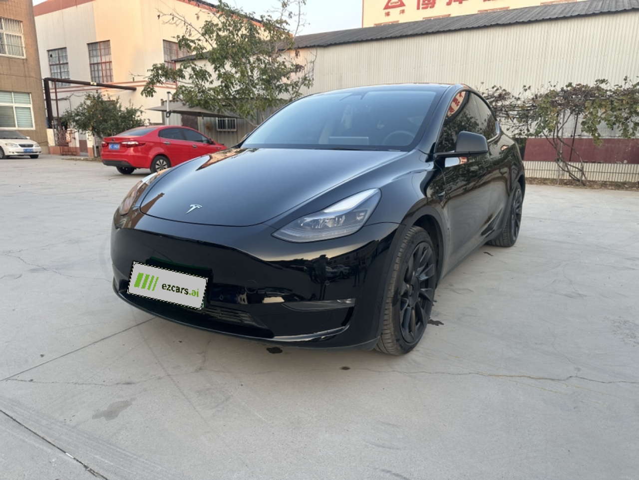 Model Y 2021 Standard Range RWD