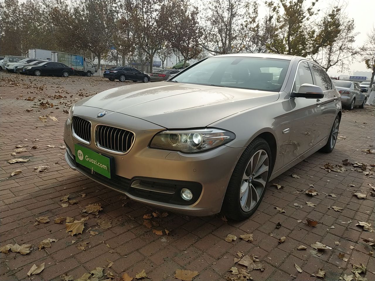 5 Series 2017 528Li Leading