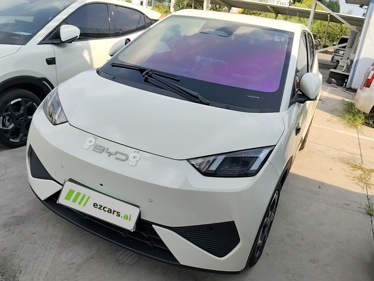 Seagull 2025 ADAS 305km