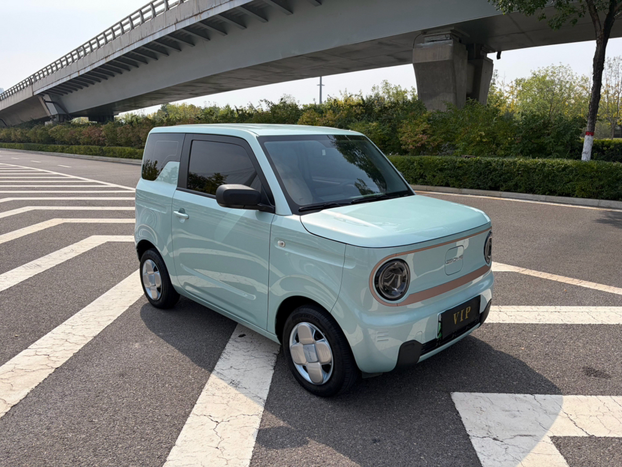 2024 Panda mini 200km Endurance Bear photo 3