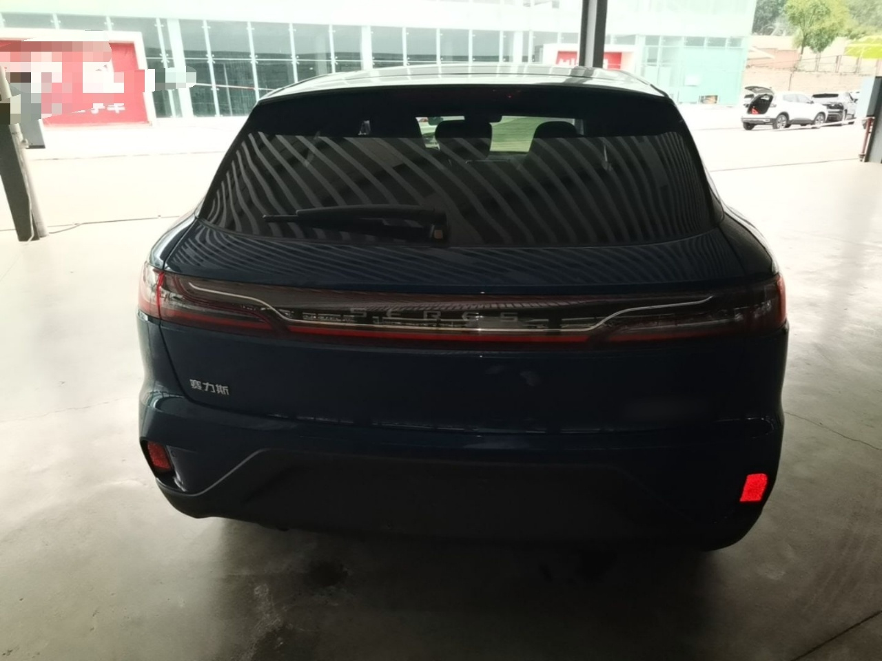 SERES SF5 2020 AWD Performance Sport photo 5