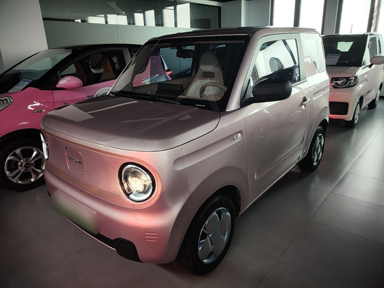 2024 Panda mini 200km Endurance Bear