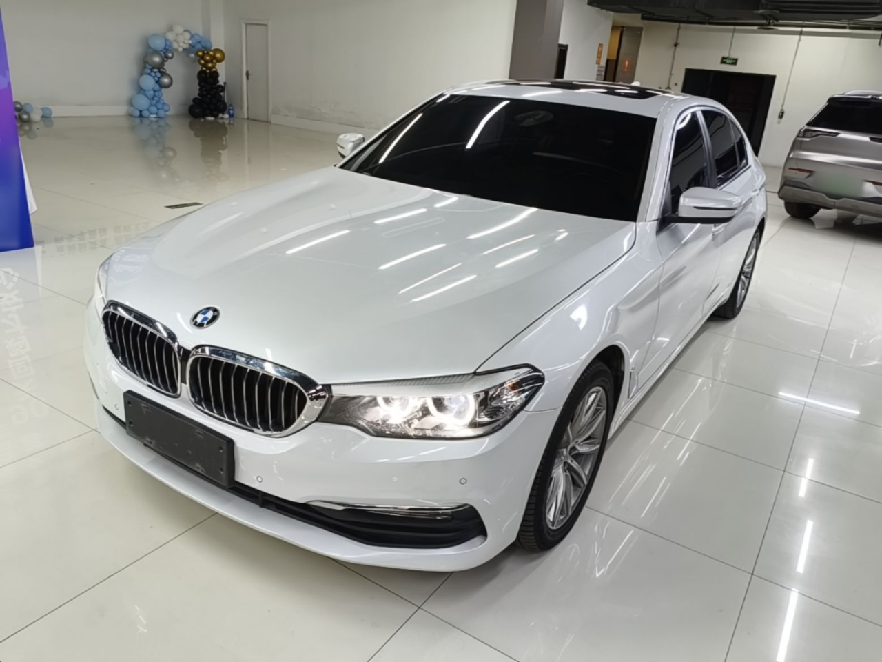 5 Series 2018 528Li Special