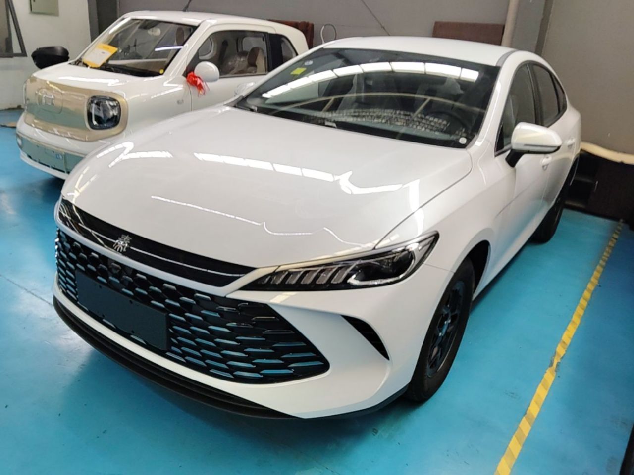 Qin PLUS 2026 DM-i 128KM Progressive