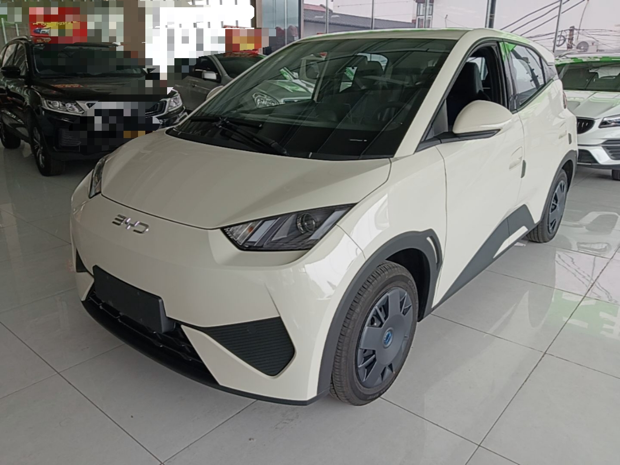 Seagull 2025 ADAS 305km