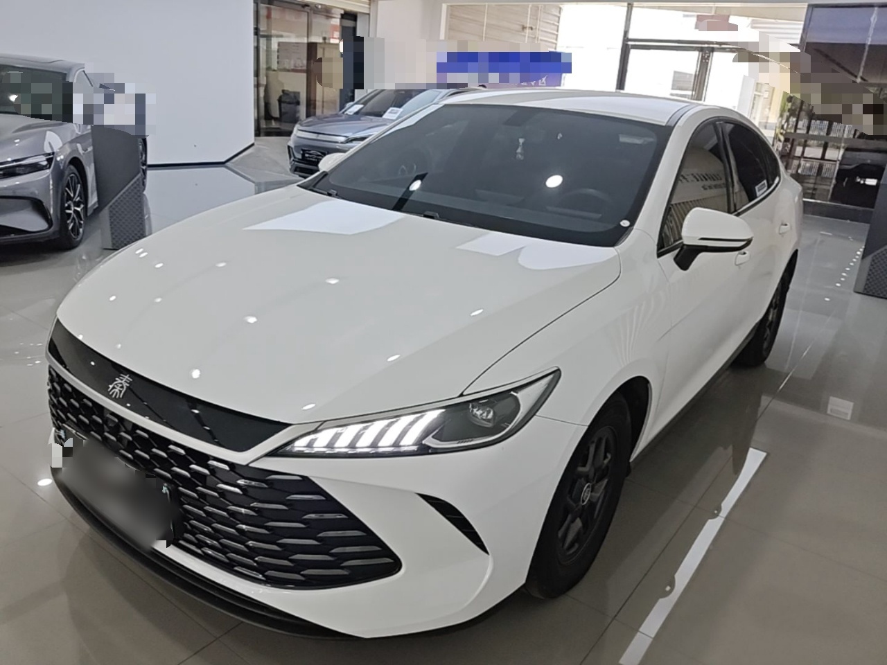 Qin PLUS 2025 DM-i ADAS 55KM Leading