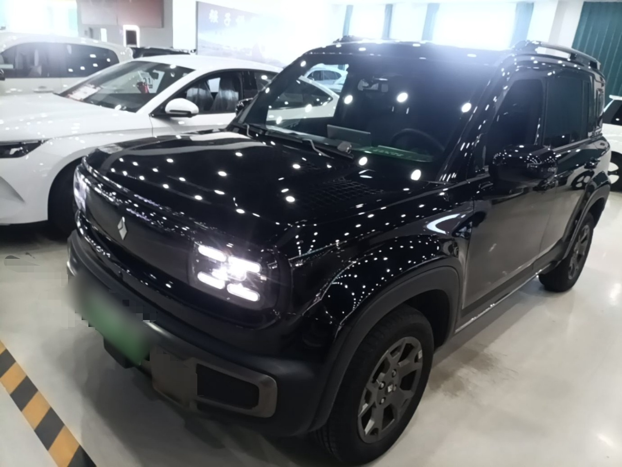 Plus 2026 301km Flagship