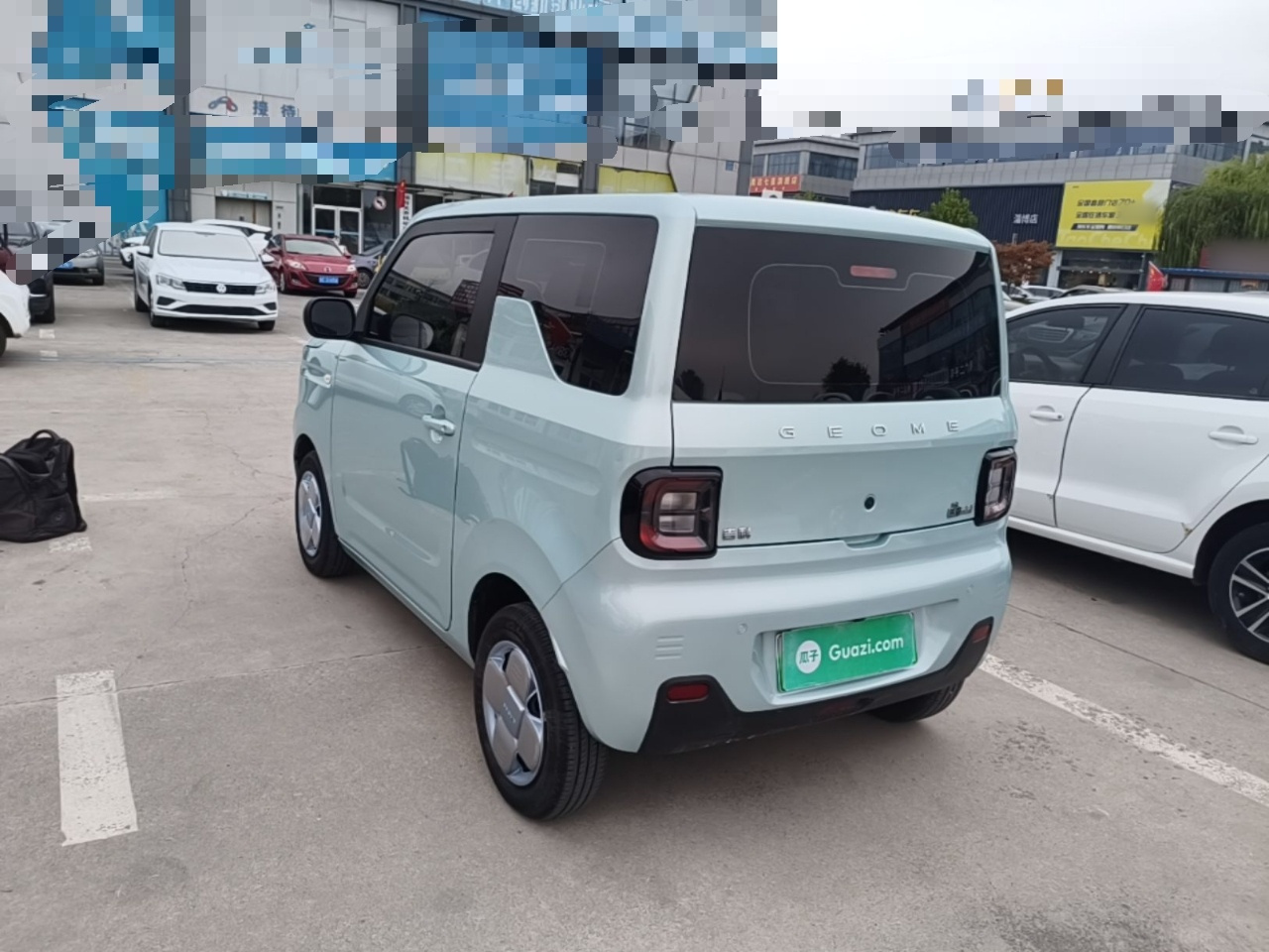 2024 Panda mini 200km Endurance Bear photo 4
