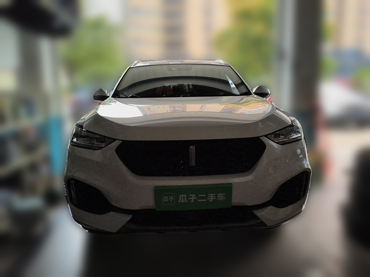 VV6 2018 2.0T RWD Flagship China V photo 2