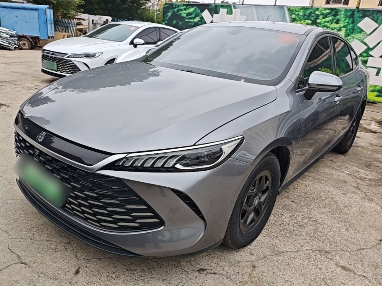 Qin PLUS 2025 DM-i ADAS 55KM Leading