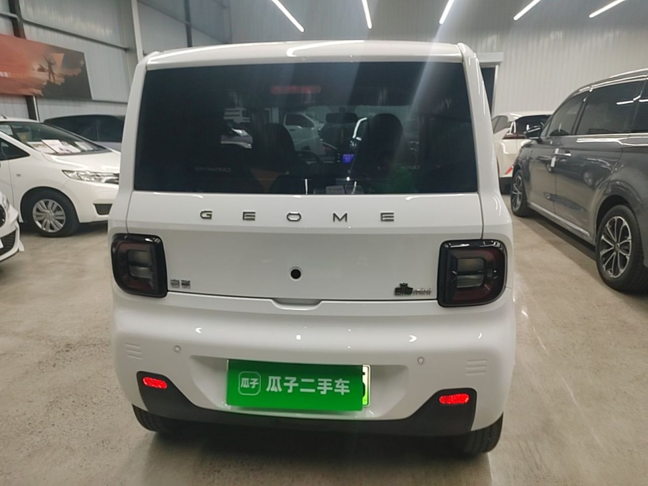 2023 Panda mini 200km Endurance Bear photo 5