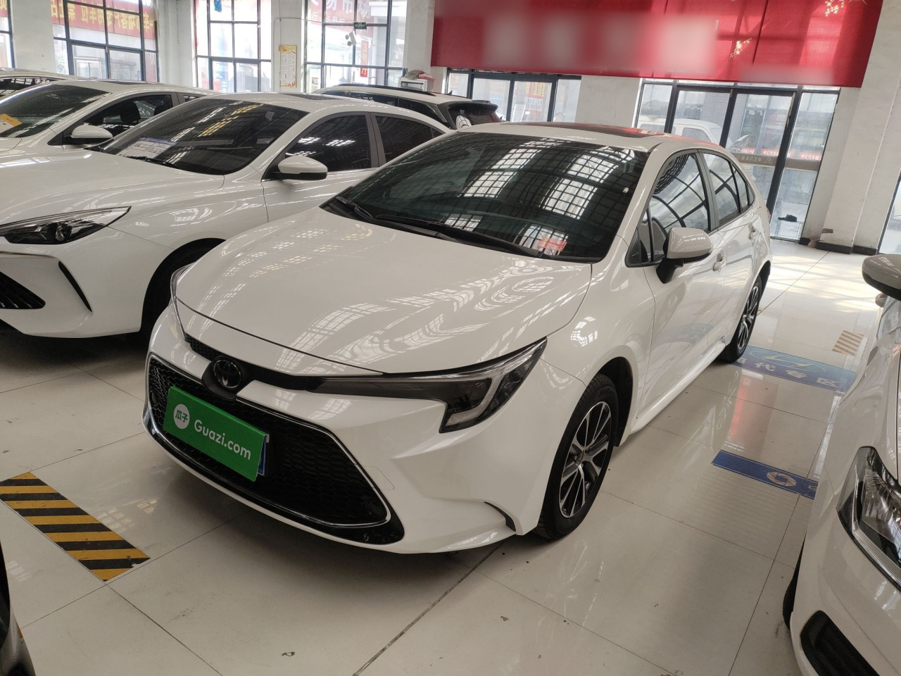 Levin 2023 185T CVT Luxury