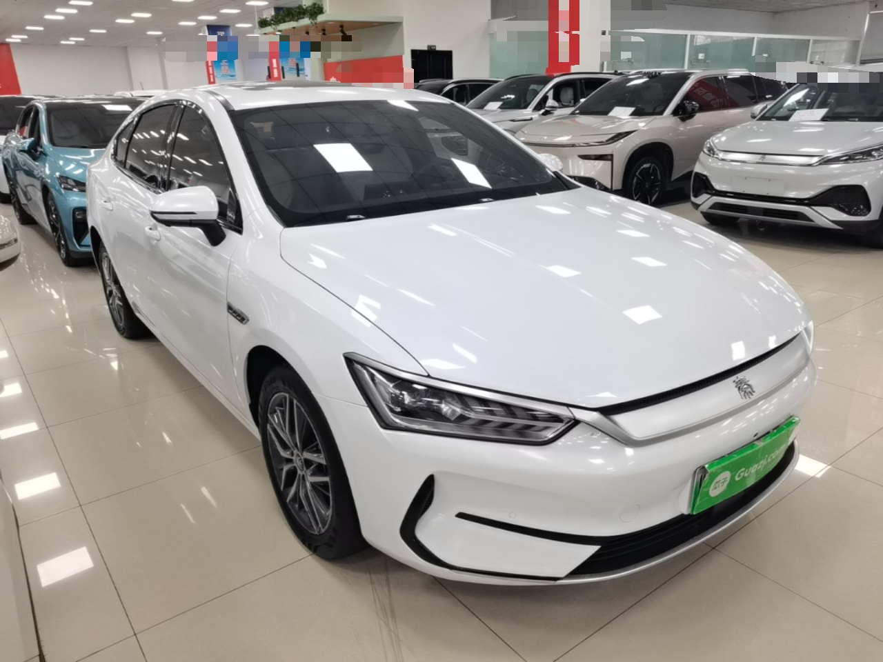 Qin PLUS 2023 Champion EV 510KM photo 3