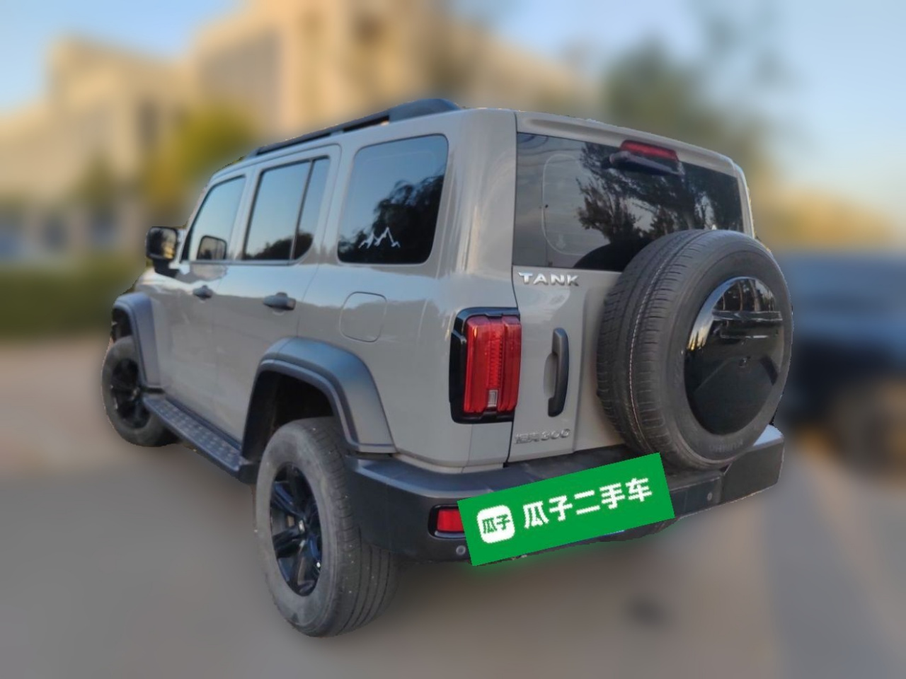 300 2021 Off-road 2.0T photo 4