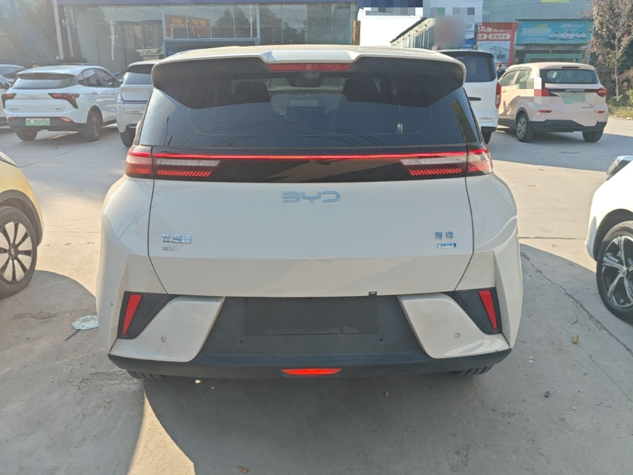 Seagull 2025 ADAS 305km photo 3