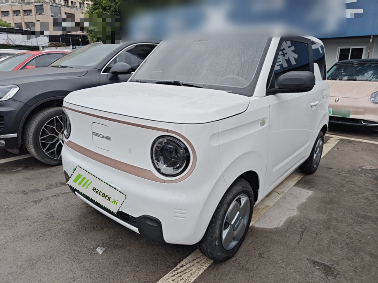 2023 Panda mini 200km Endurance Bear