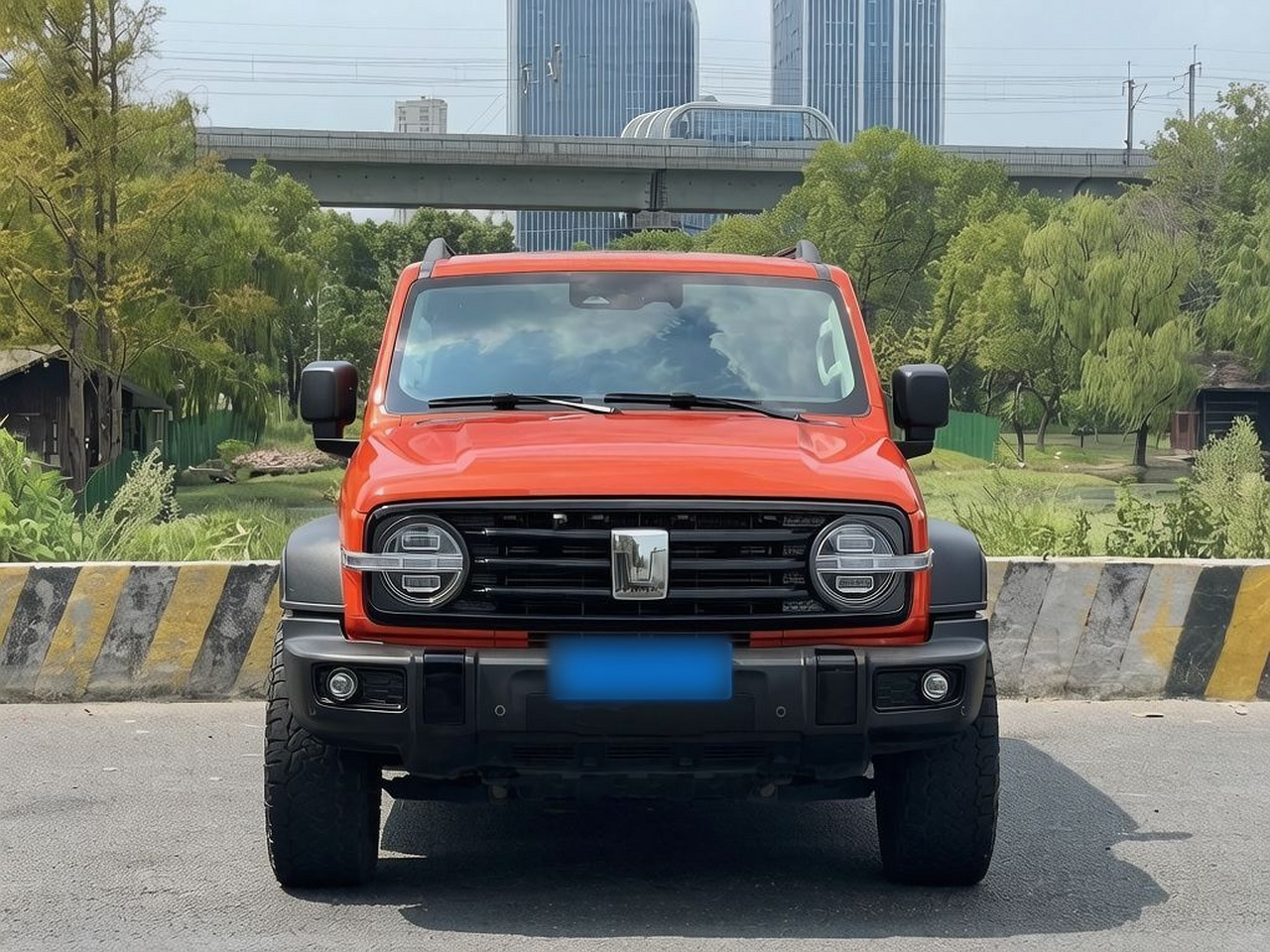300 2021 Off-road 2.0T Conqueror photo 3
