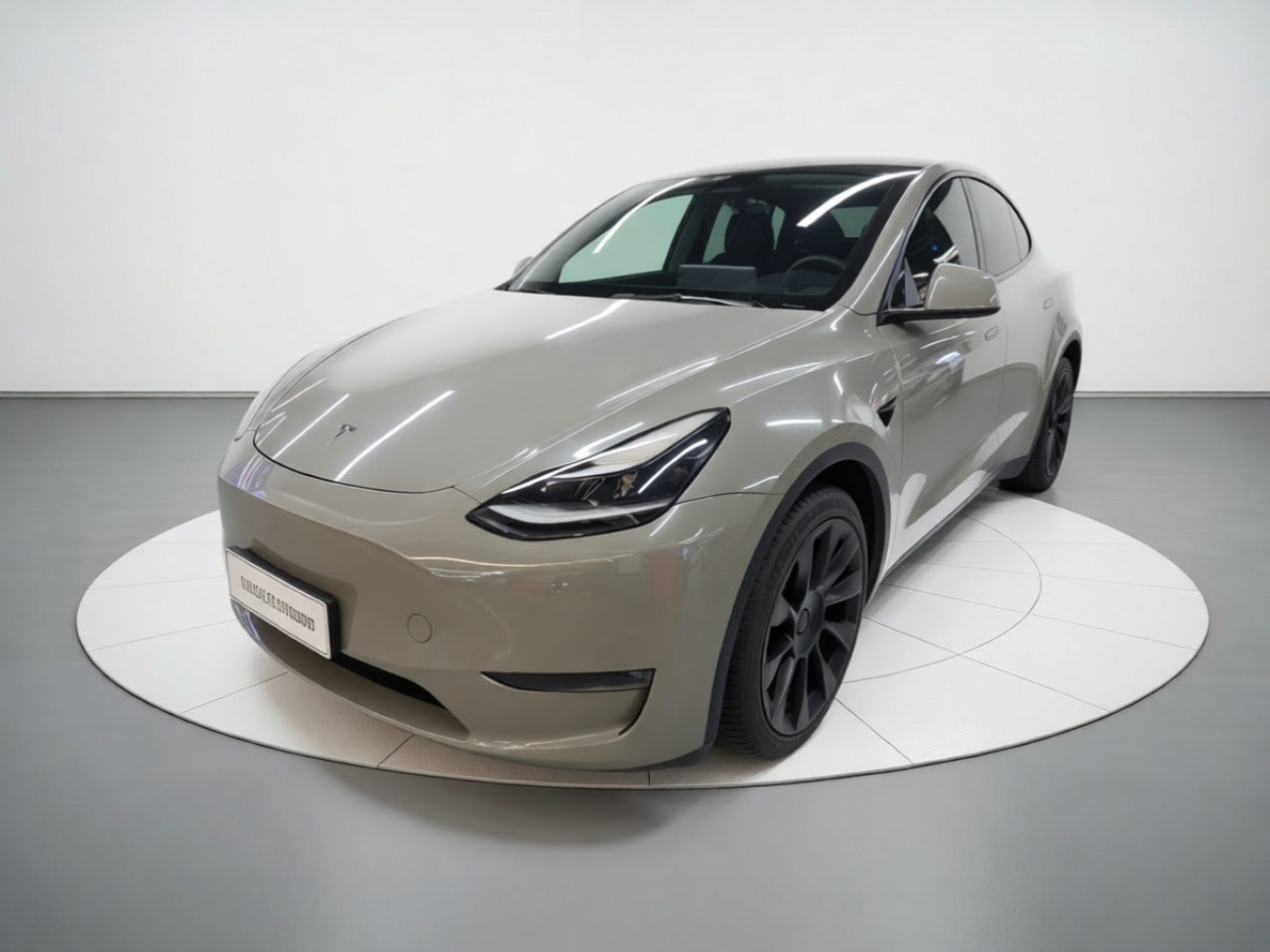 Model Y 2021 Standard Range RWD
