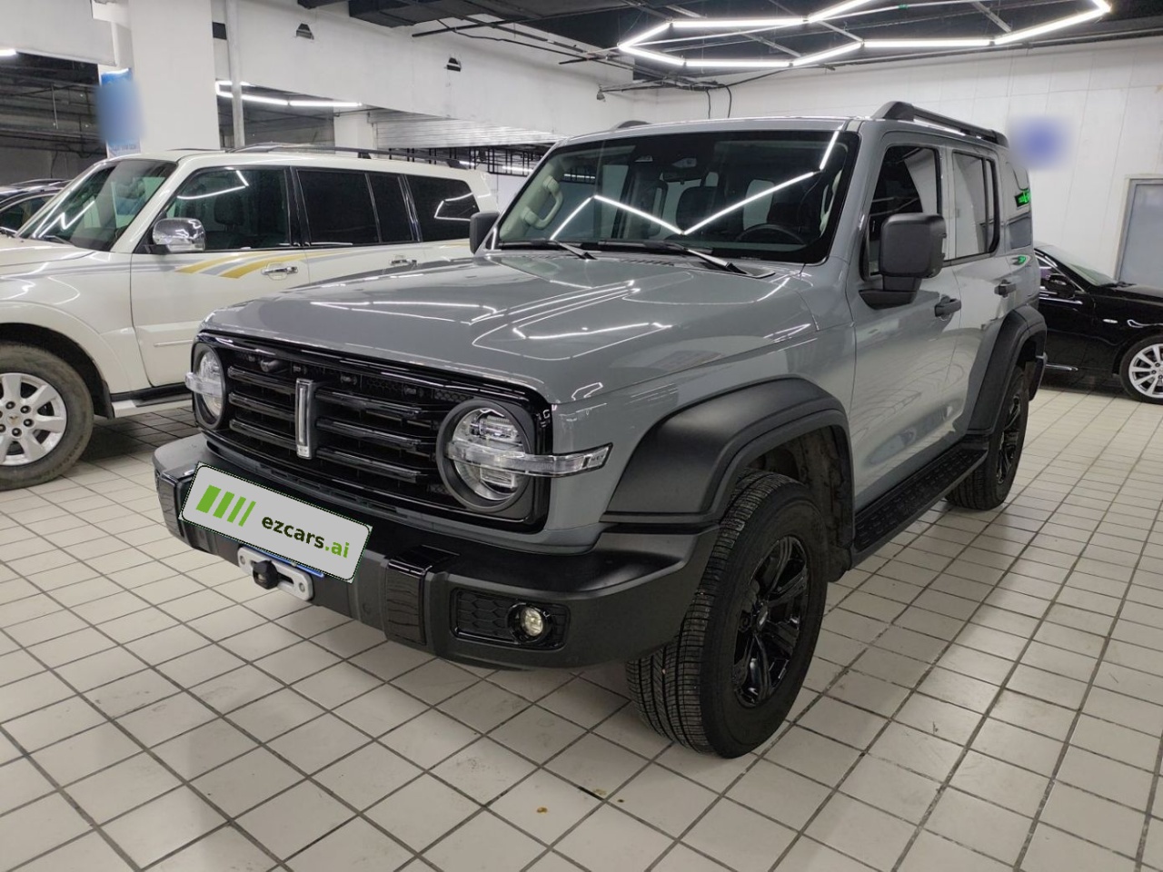 300 2021 Off-road 2.0T Conqueror