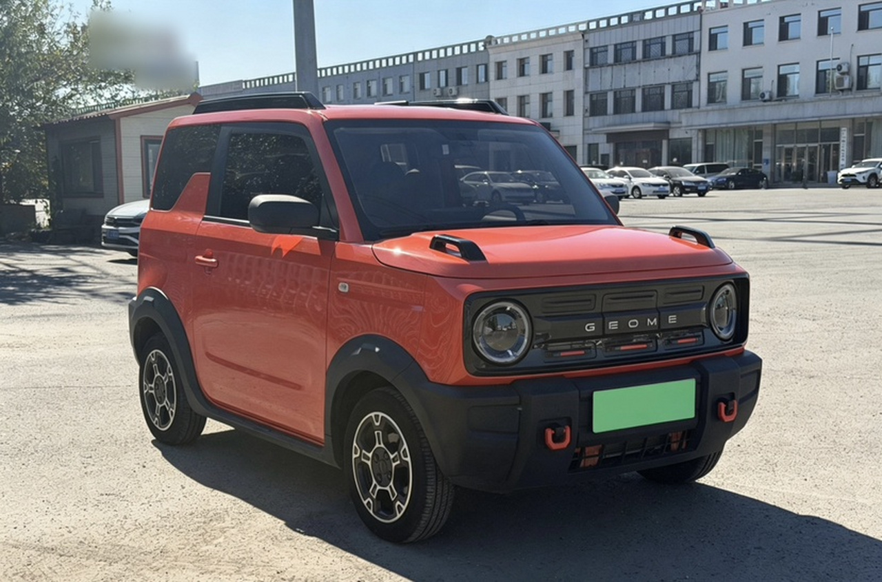 2024 200km Panda photo 2