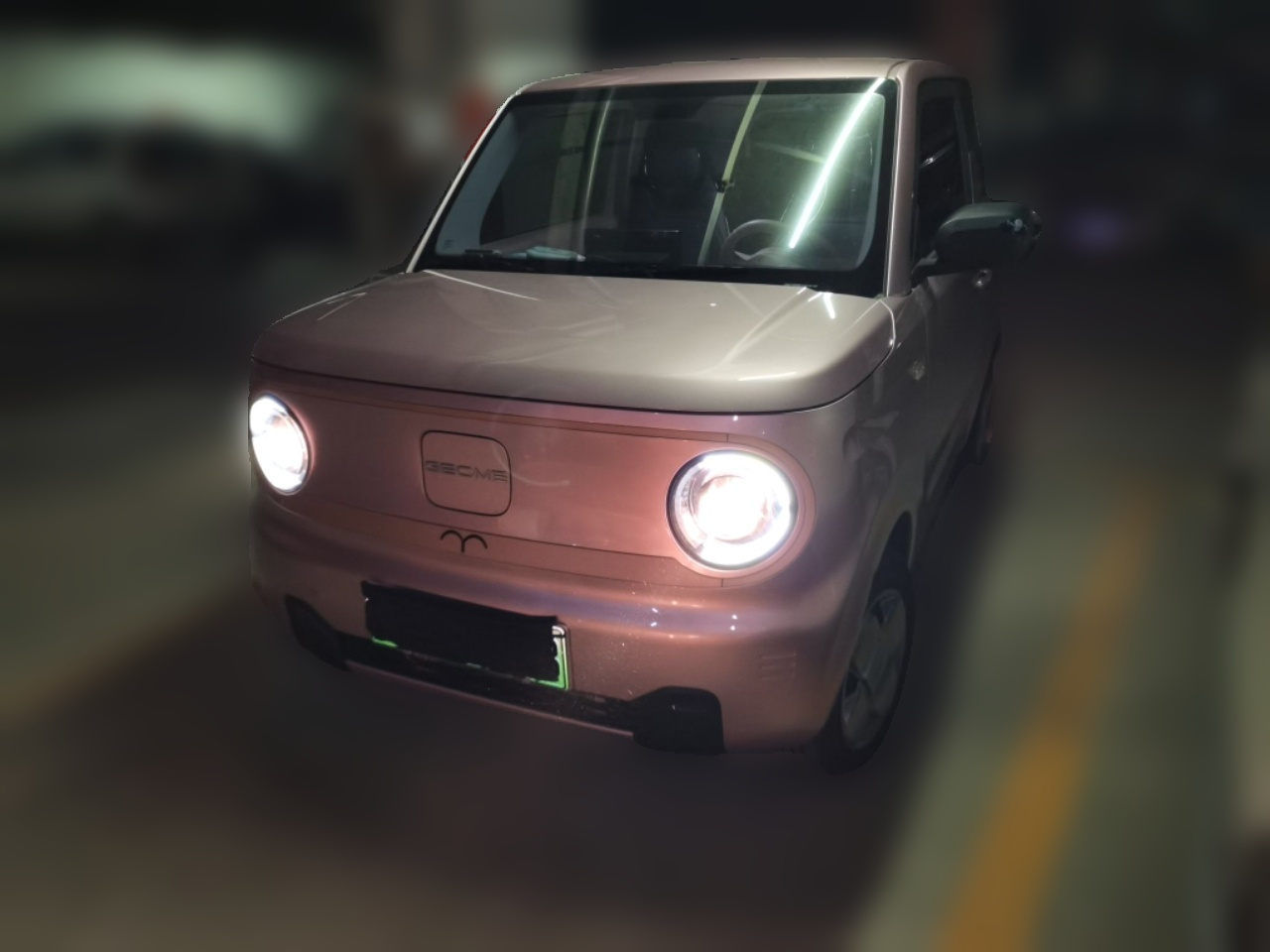 2023 Panda mini 200km Endurance Bear