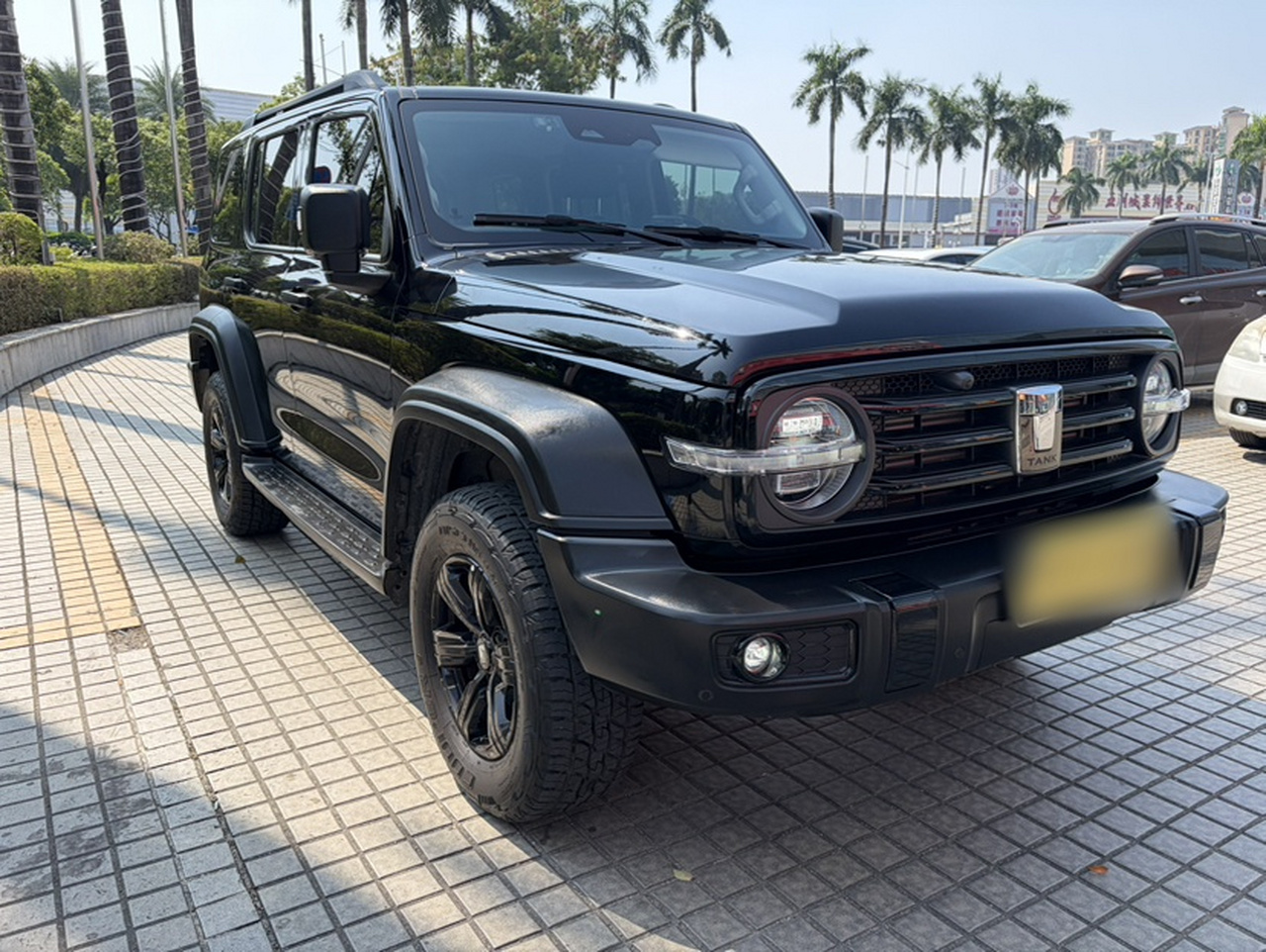 300 2021 Off-road 2.0T Conqueror photo 2