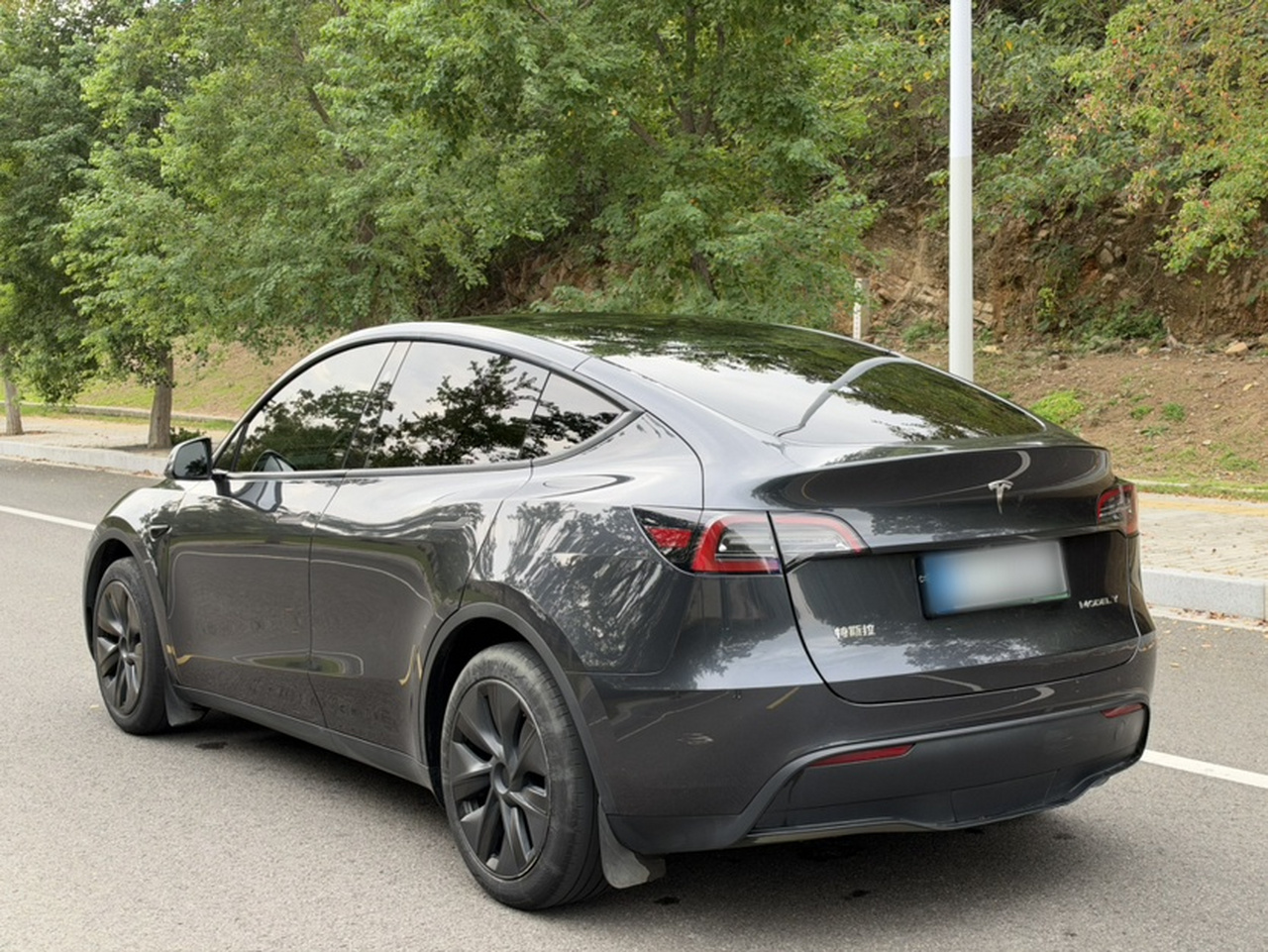 Model Y 2024 RWD photo 2