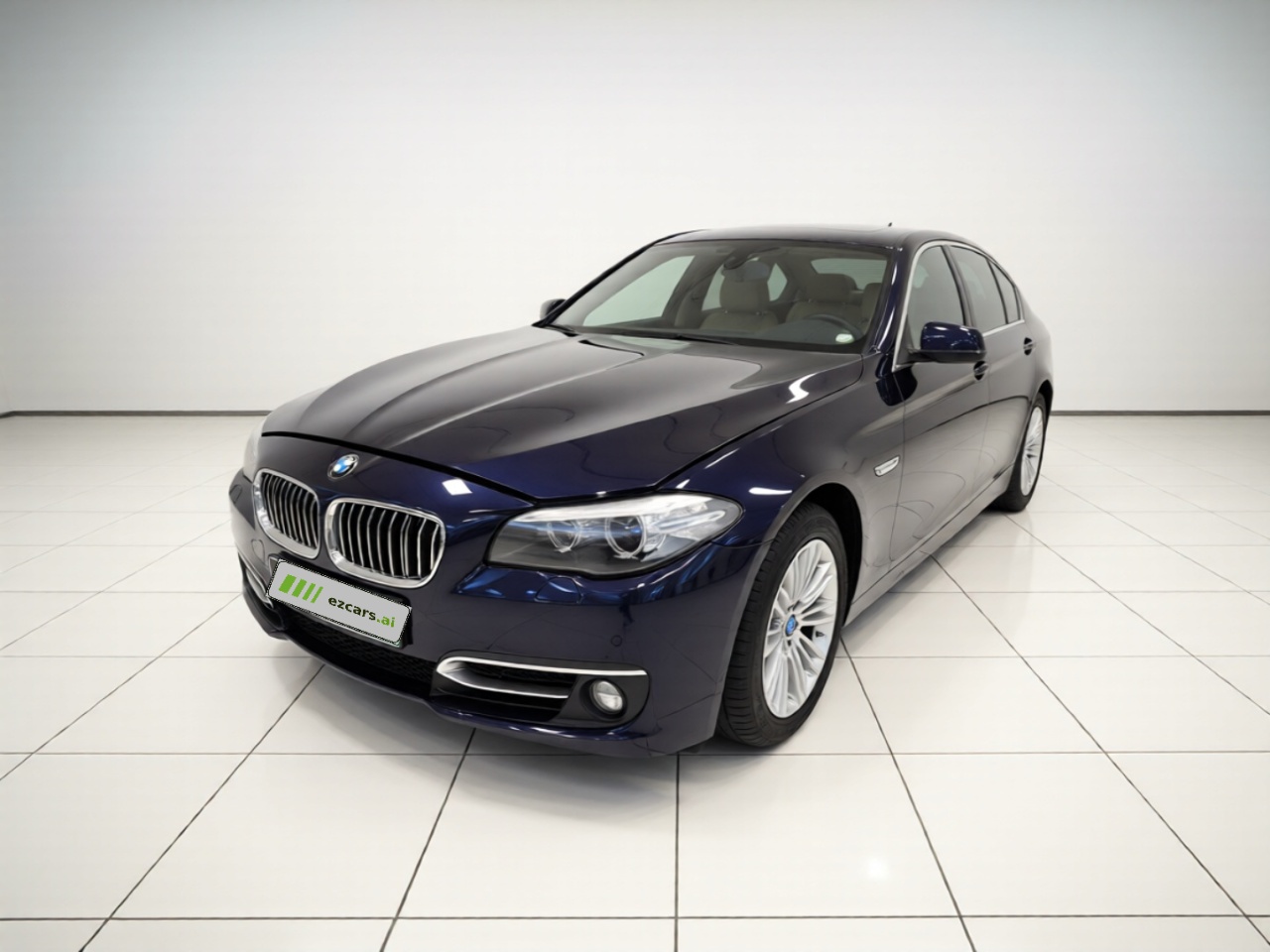 5 Series 2011 523Li Leading