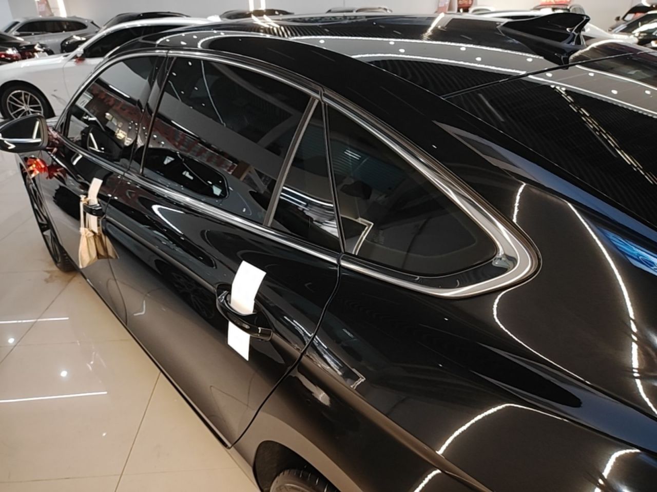 Magotan 2024 380TSI DSG Premium Domy photo 4
