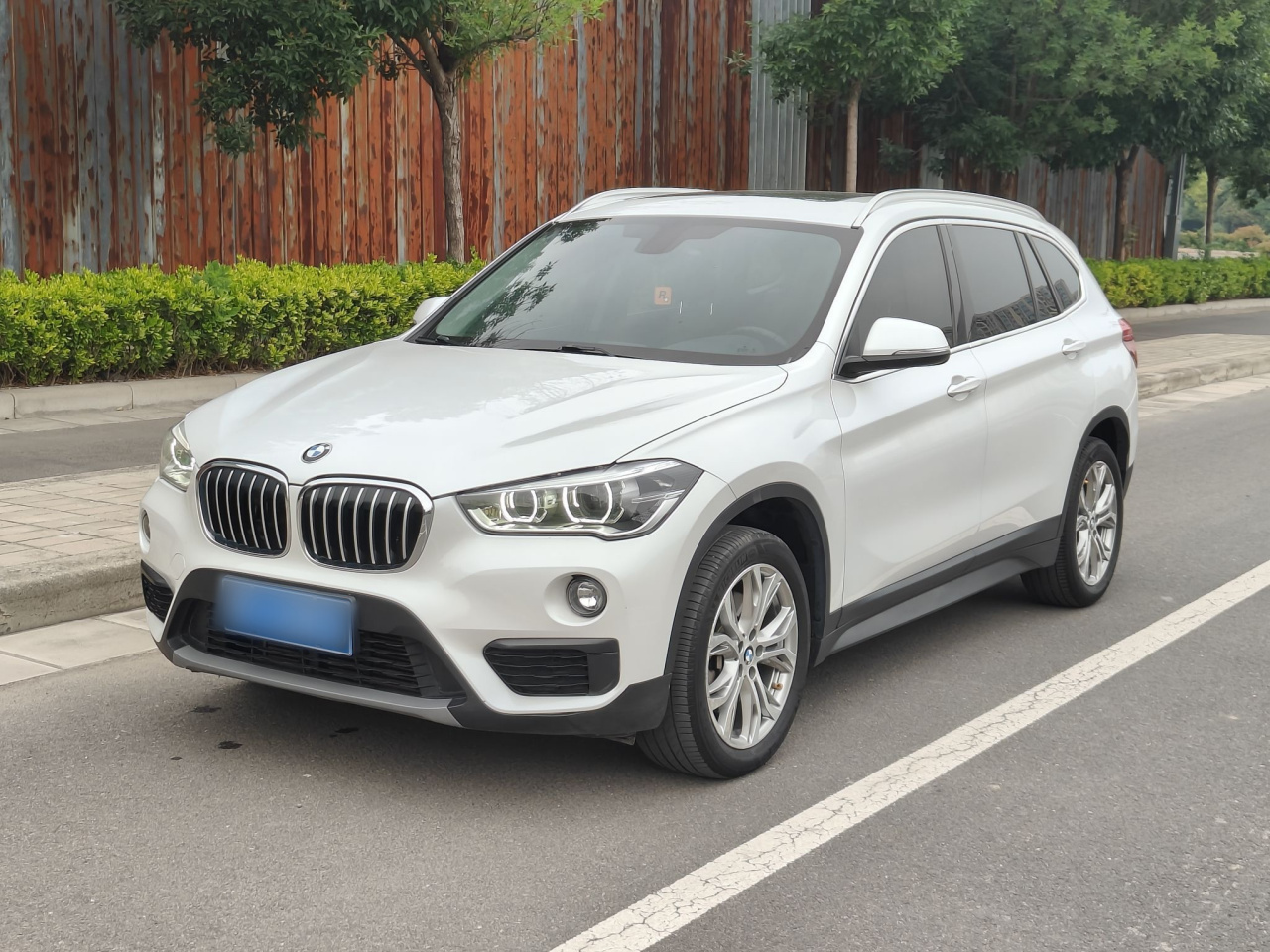 X1 2018 sDrive20Li Leading