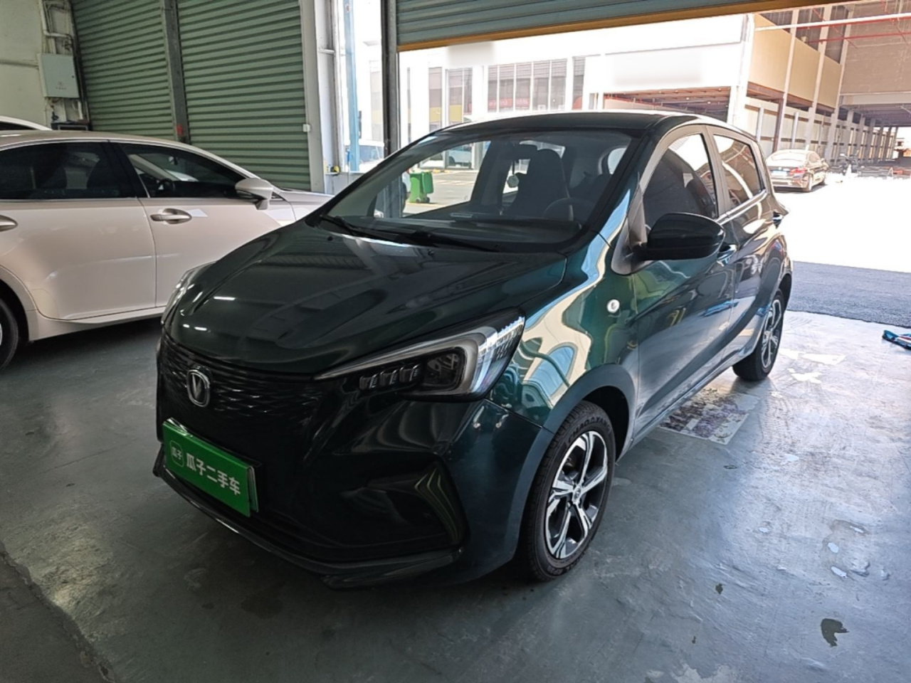 Benni E-Star 2020 NCM