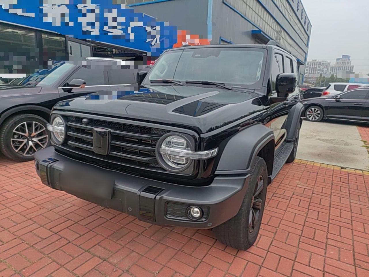 300 2021 Off-road 2.0T Conqueror