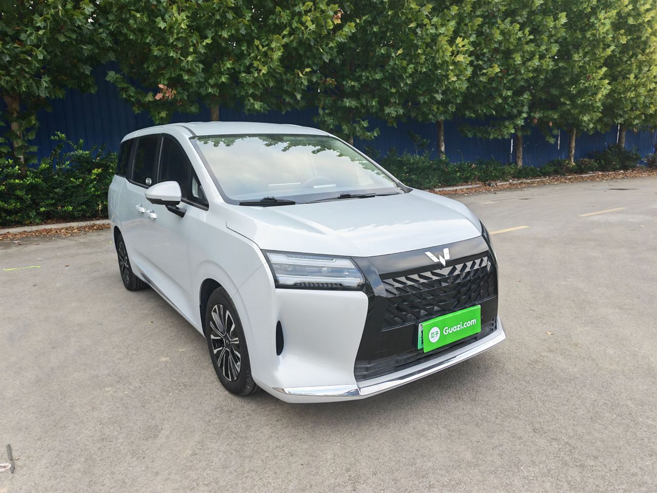 730 EV 2025 125km Luxury photo 3