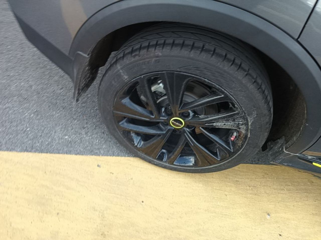 RX5 EV 2020 ePLUS Flagship photo 4