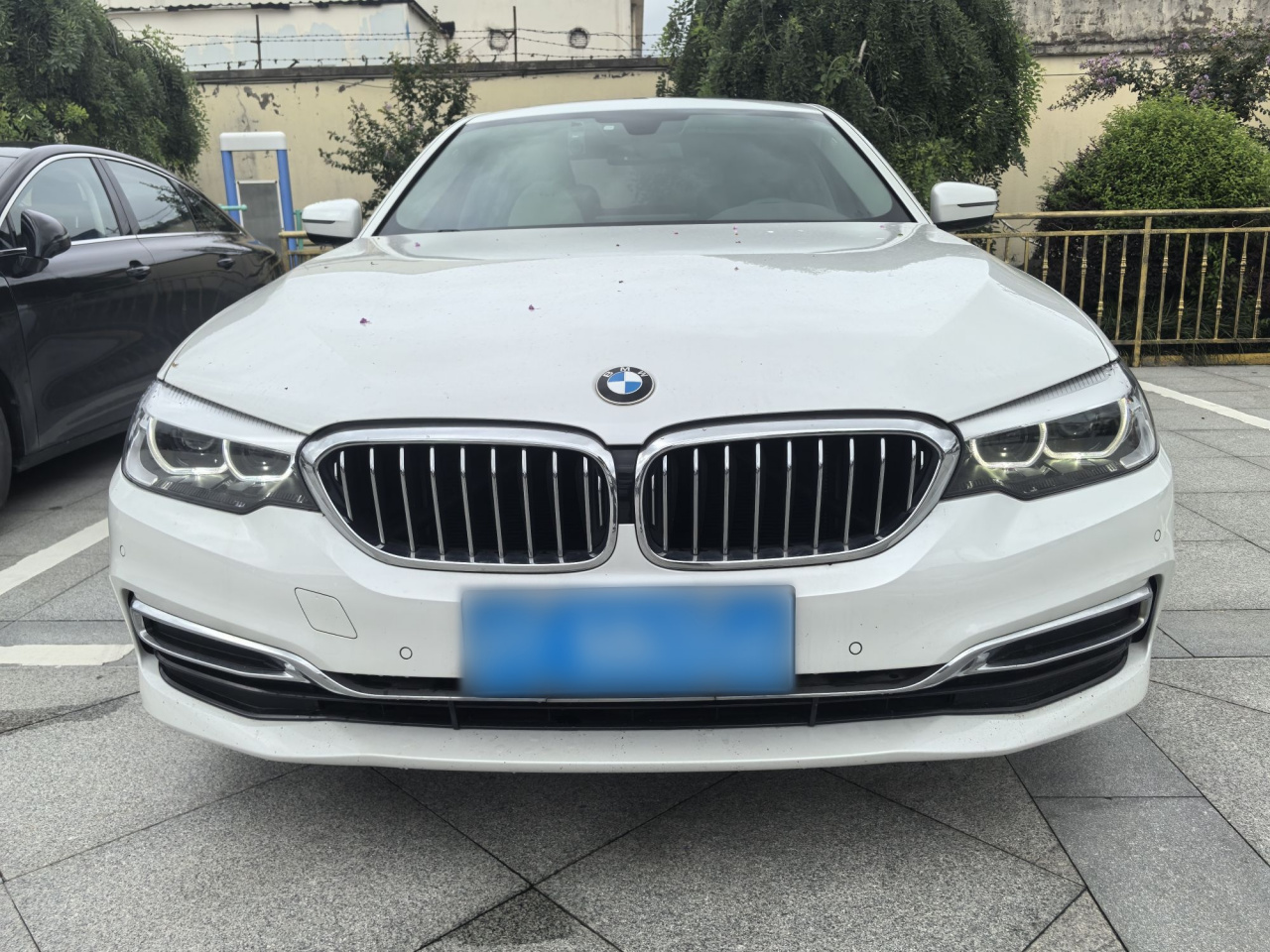5 Series 2020 525Li Luxury photo 3