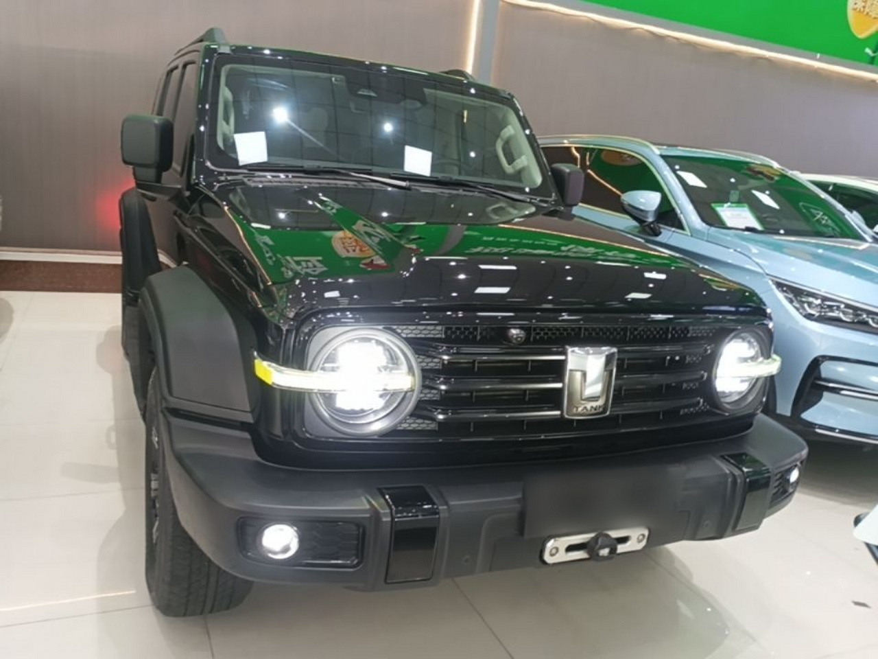 300 2021 Off-road 2.0T Conqueror photo 2