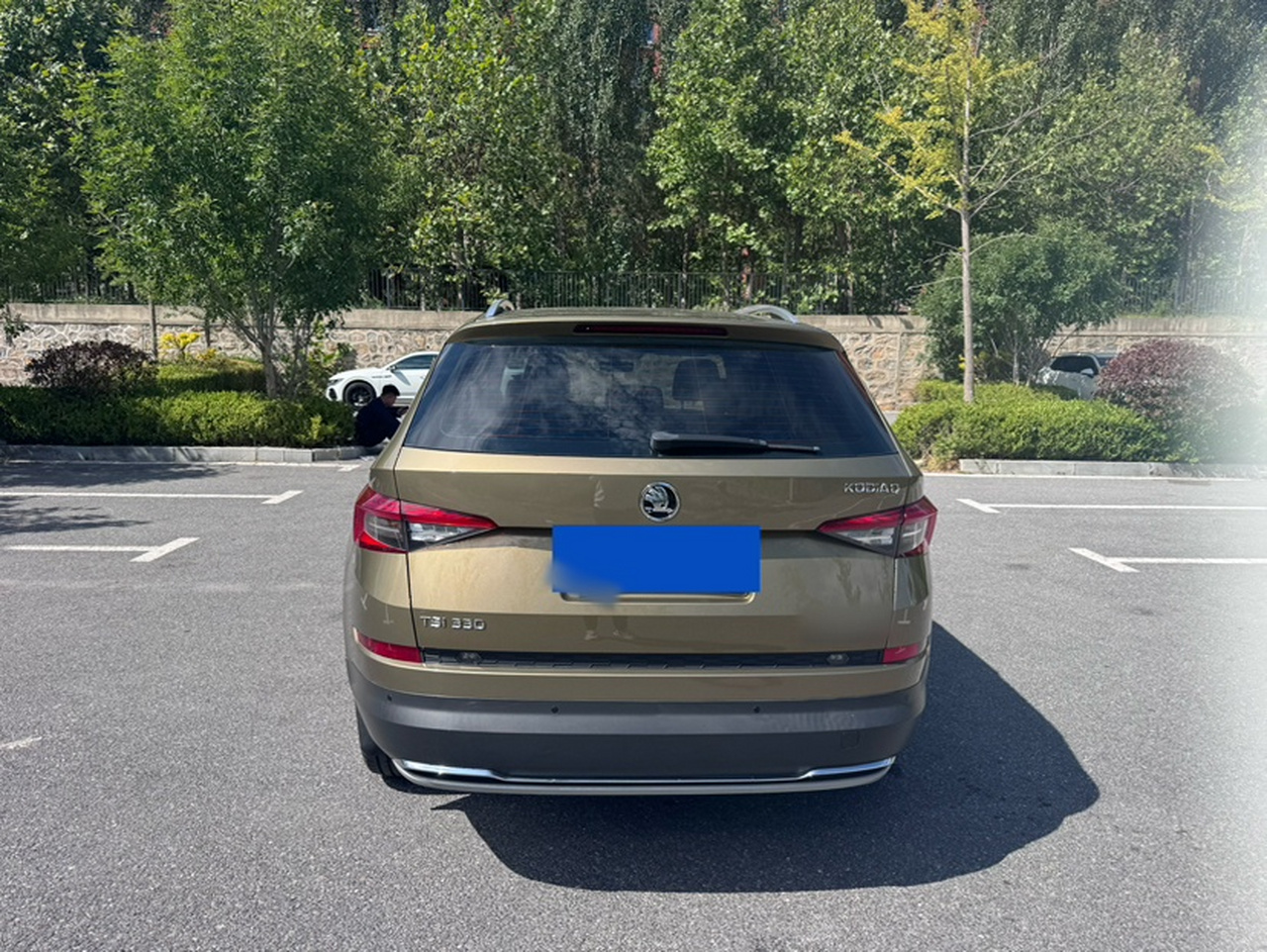 Kodiaq 2017 TSI330 7-Seater RWD Luxury photo 4