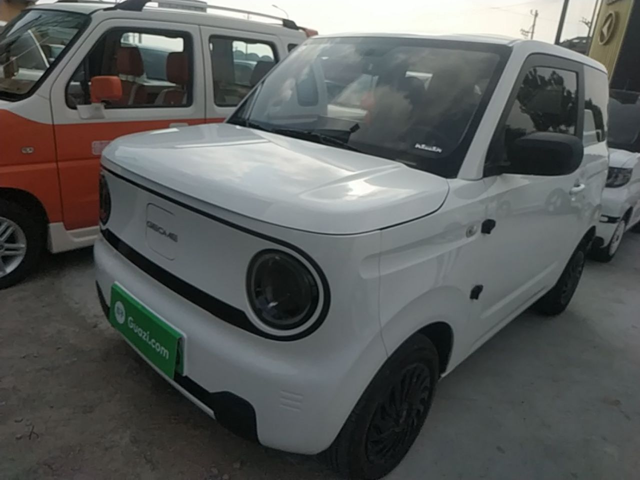 2023 Panda mini 200km Endurance Bear