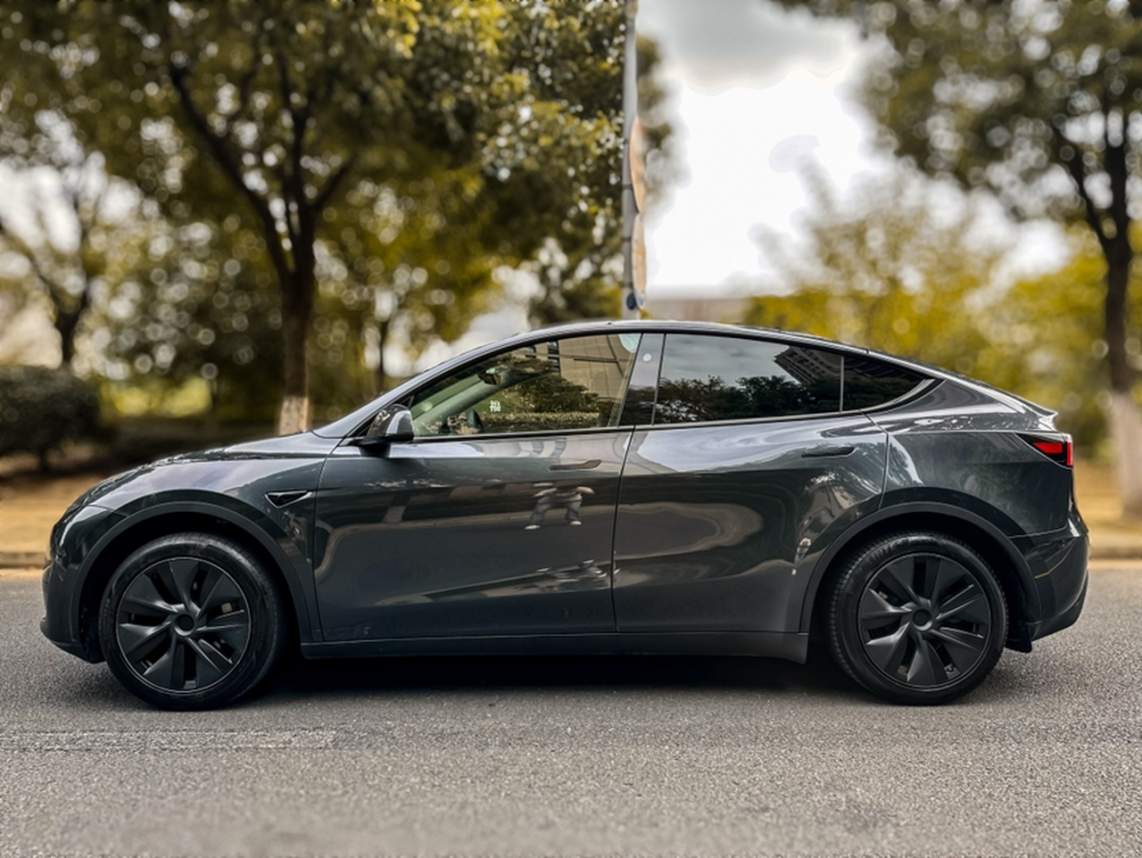 Model Y 2024 RWD photo 4